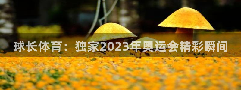 球长体育：独家2023年奥运会精彩瞬间
