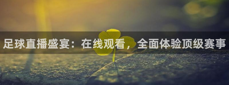 足球直播盛宴：在线观看，全面体验顶级赛事