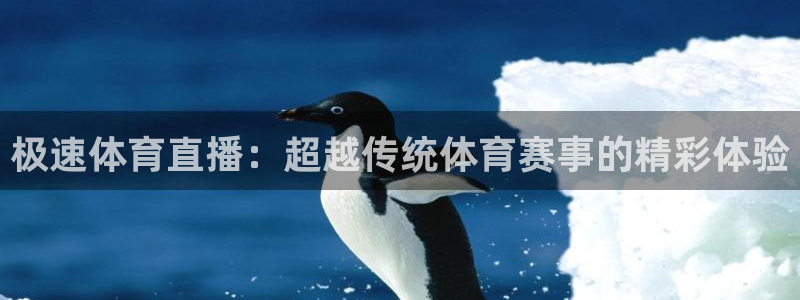 极速体育直播：超越传统体育赛事的精彩体验