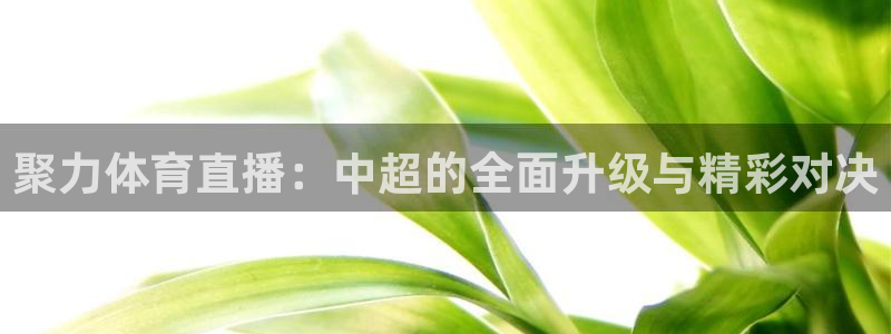 聚力体育直播：中超的全面升级与精彩对决