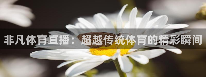非凡体育直播：超越传统体育的精彩瞬间