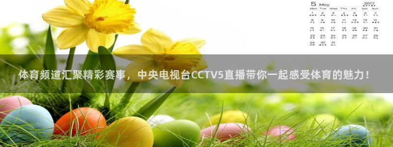 体育频道汇聚精彩赛事，中央电视台CCTV5直播带你一起感受体育的魅力！