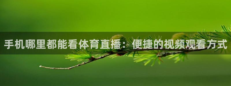 手机哪里都能看体育直播：便捷的视频观看方式