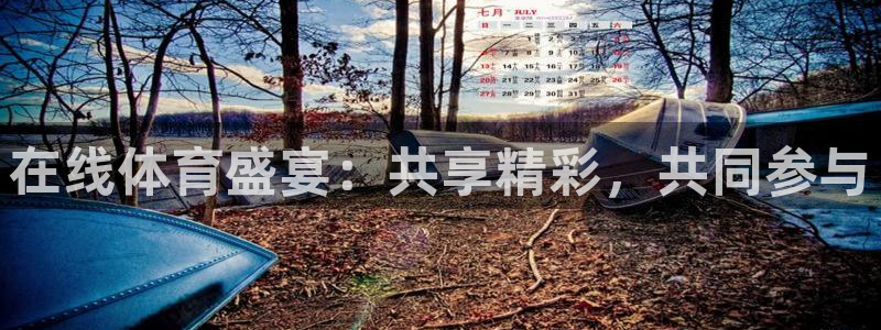 在线体育盛宴：共享精彩，共同参与