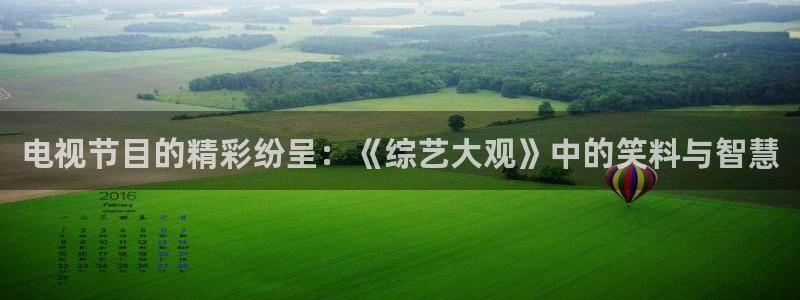 电视节目的精彩纷呈：《综艺大观》中的笑料与智慧
