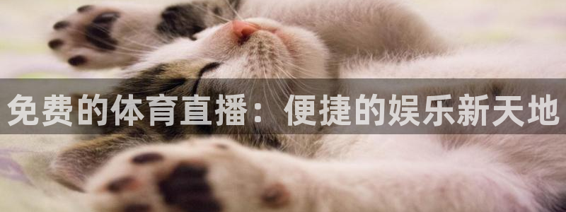免费的体育直播：便捷的娱乐新天地