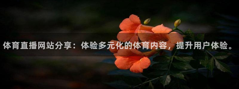体育直播网站分享：体验多元化的体育内容，提升用户体验。