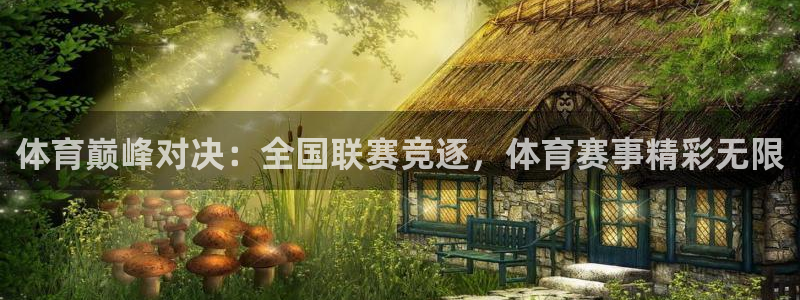 体育巅峰对决：全国联赛竞逐，体育赛事精彩无限