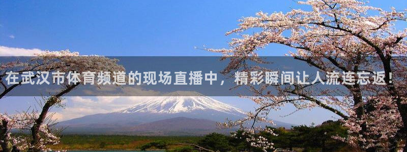 在武汉市体育频道的现场直播中，精彩瞬间让人流连忘返！