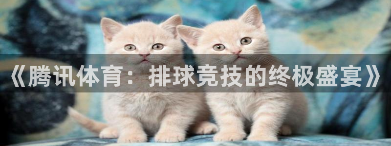 《腾讯体育：排球竞技的终极盛宴》