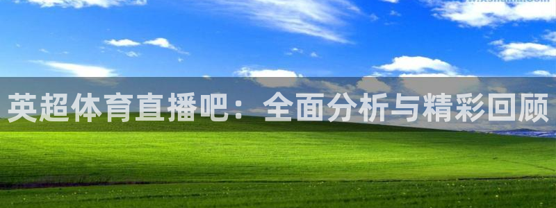 英超体育直播吧：全面分析与精彩回顾