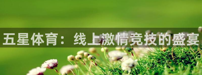 五星体育：线上激情竞技的盛宴